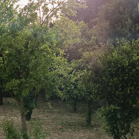 Casa Mariangela Tatil Evi Olbia